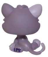#1607 Kitten
